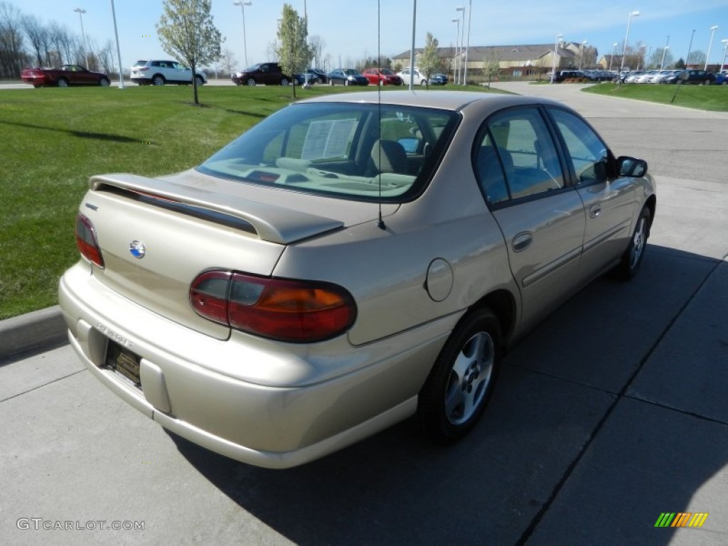 2005 Classic  - Light Driftwood Metallic / Neutral photo #3