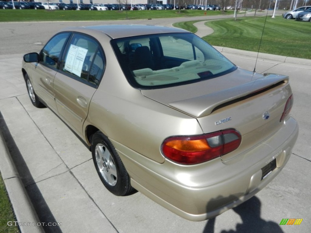 2005 Classic  - Light Driftwood Metallic / Neutral photo #5