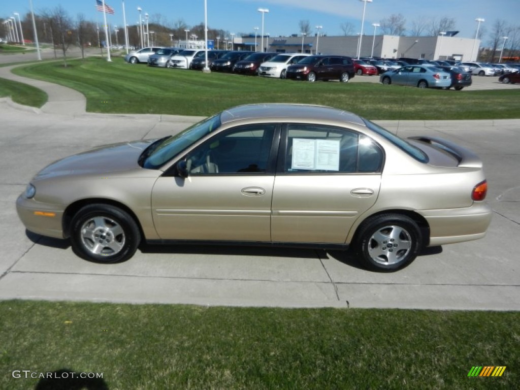 2005 Classic  - Light Driftwood Metallic / Neutral photo #6