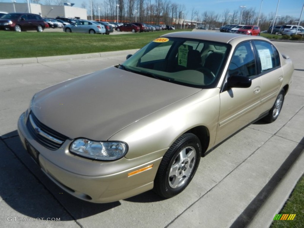 2005 Classic  - Light Driftwood Metallic / Neutral photo #7