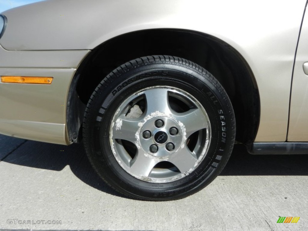 2005 Classic  - Light Driftwood Metallic / Neutral photo #9