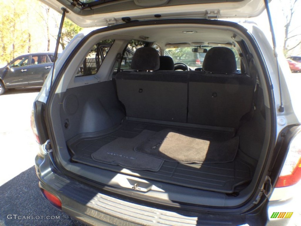2004 Hyundai Santa Fe Standard Santa Fe Model Trunk Photos