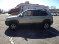 Sahara Silver - Tucson GLS V6 Photo No. 5