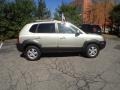 Sahara Silver - Tucson GLS V6 Photo No. 9