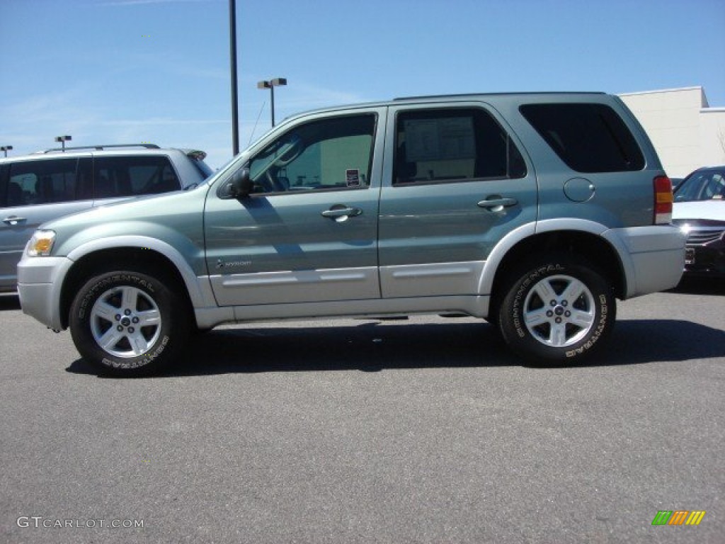 Titanium Green Metallic 2005 Ford Escape Hybrid 4WD Exterior Photo #63324649