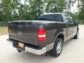 2005 Dark Stone Metallic Ford F150 XLT SuperCrew  photo #5