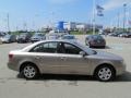 Golden Beige - Sonata GLS Photo No. 8
