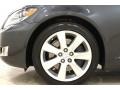 2010 Lexus LS 600h L AWD Hybrid Wheel and Tire Photo