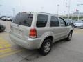 2005 Gold Ash Metallic Ford Escape Limited 4WD  photo #6