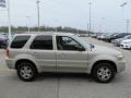 2005 Gold Ash Metallic Ford Escape Limited 4WD  photo #7