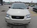 2005 Gold Ash Metallic Ford Escape Limited 4WD  photo #9