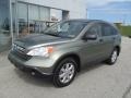 2009 Green Tea Metallic Honda CR-V EX 4WD  photo #2