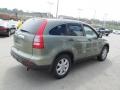 2009 Green Tea Metallic Honda CR-V EX 4WD  photo #8