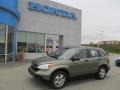 2009 Green Tea Metallic Honda CR-V LX 4WD  photo #1