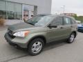 2009 Green Tea Metallic Honda CR-V LX 4WD  photo #2