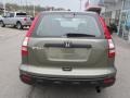 2009 Green Tea Metallic Honda CR-V LX 4WD  photo #6