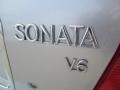 2004 Brilliant Silver Hyundai Sonata V6  photo #6