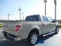 Pueblo Gold Metallic - F150 XLT SuperCrew Photo No. 5