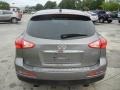 Platinum Graphite - EX 35 Journey Photo No. 3