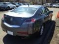 2010 Polished Metal Metallic Acura TL 3.5  photo #8