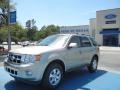 2012 Gold Leaf Metallic Ford Escape Limited  photo #1