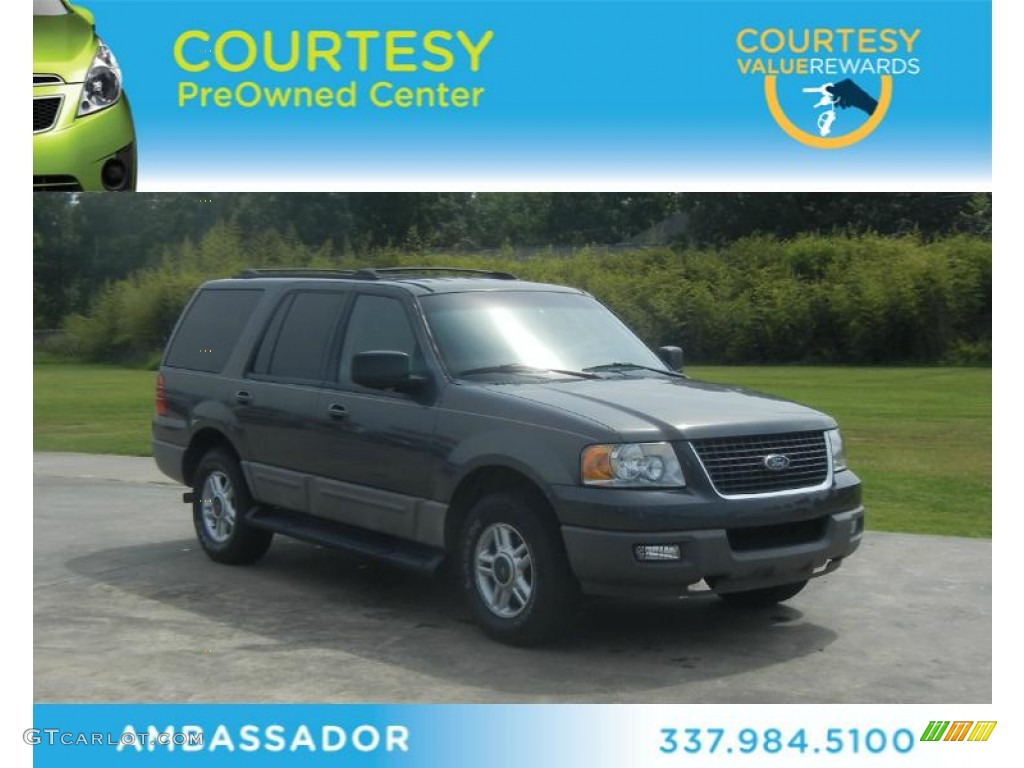 2003 Expedition XLT - Dark Shadow Grey Metallic / Flint Grey photo #1