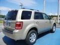 2012 Gold Leaf Metallic Ford Escape Limited  photo #3