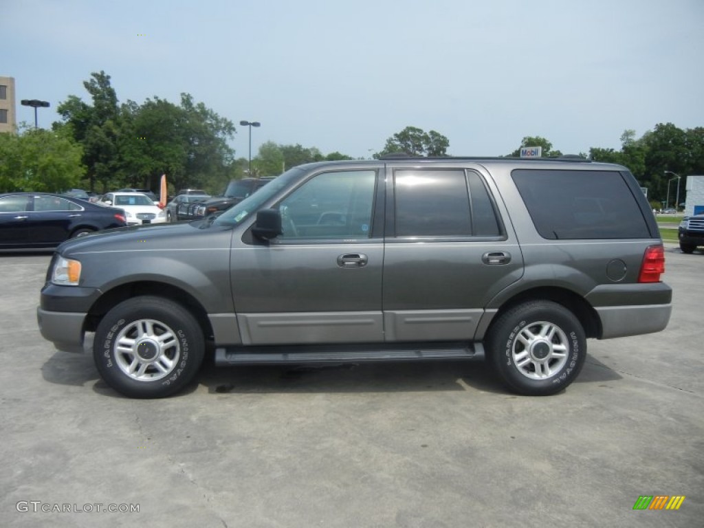 2003 Expedition XLT - Dark Shadow Grey Metallic / Flint Grey photo #5