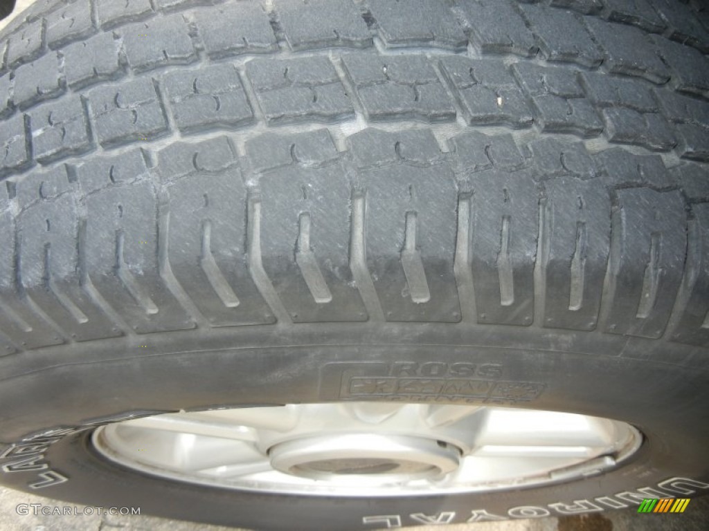 2003 Expedition XLT - Dark Shadow Grey Metallic / Flint Grey photo #26