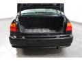 Flamenco Black Pearl - Civic EX Sedan Photo No. 22