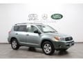 Everglade Metallic - RAV4 I4 Photo No. 1