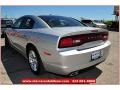 Bright Silver Metallic - Charger Rallye Photo No. 3