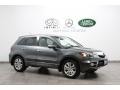 Polished Metal Metallic - RDX SH-AWD Technology Photo No. 1