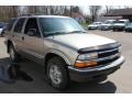 1998 Light Pewter Metallic Chevrolet Blazer LS 4x4  photo #16