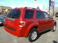 2010 Sangria Red Metallic Ford Escape Limited 4WD  photo #17
