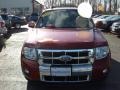 2010 Sangria Red Metallic Ford Escape Limited 4WD  photo #21