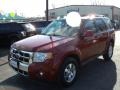 2010 Sangria Red Metallic Ford Escape Limited 4WD  photo #22