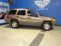 Champagne Pearl - Grand Cherokee Laredo 4x4 Photo No. 8