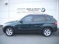 Deep Green Metallic 2009 BMW X5 xDrive30i