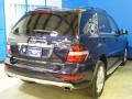 2011 Capri Blue Metallic Mercedes-Benz ML 350 4Matic  photo #9