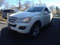 Arctic White - ML 350 4Matic Photo No. 4