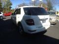 Arctic White - ML 350 4Matic Photo No. 7