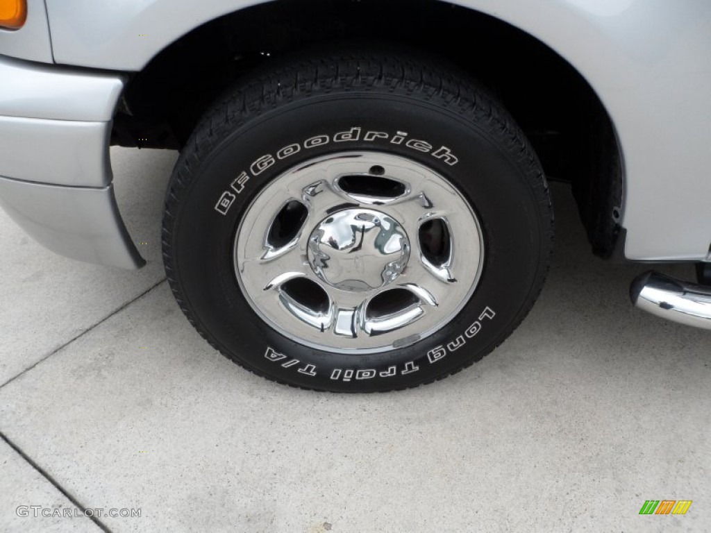 2004 F150 STX Heritage Regular Cab - Silver Metallic / Heritage Graphite Grey photo #12