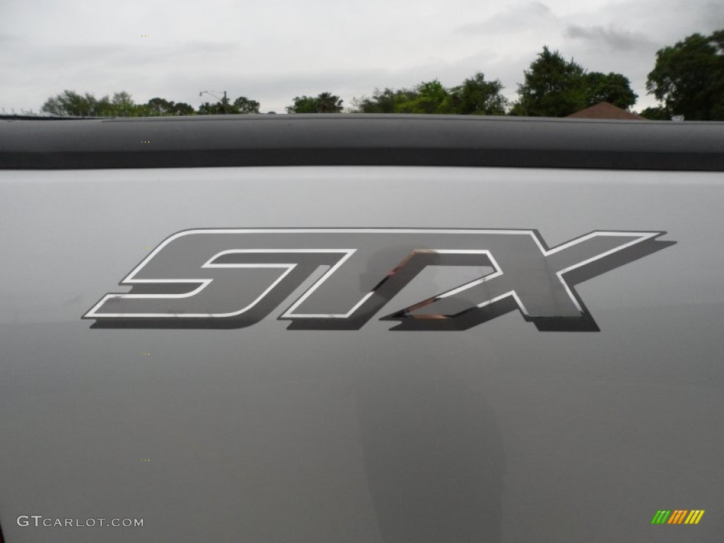 2004 F150 STX Heritage Regular Cab - Silver Metallic / Heritage Graphite Grey photo #20