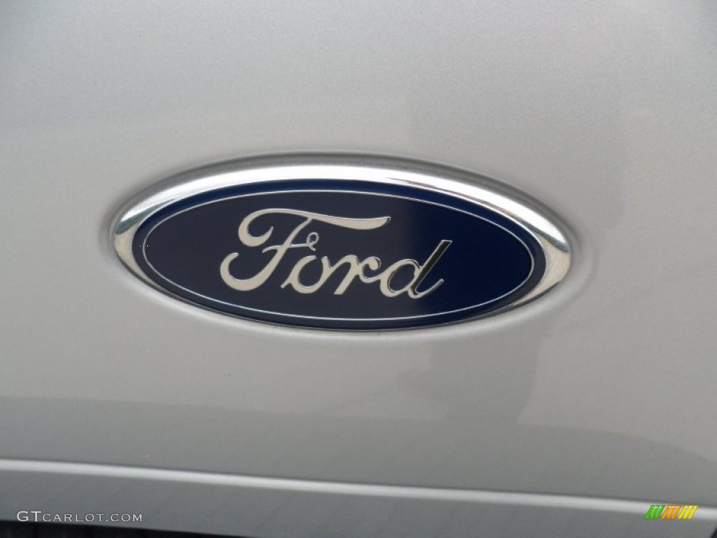2004 F150 STX Heritage Regular Cab - Silver Metallic / Heritage Graphite Grey photo #22
