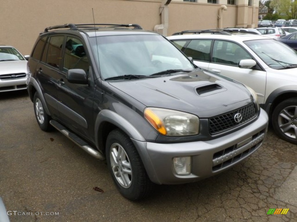 2003 RAV4  - Graphite Gray Pearl / Gray photo #1