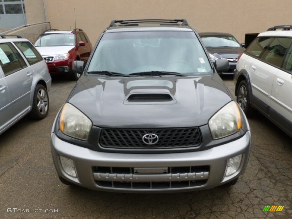 2003 RAV4  - Graphite Gray Pearl / Gray photo #2