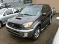 2003 Graphite Gray Pearl Toyota RAV4   photo #3