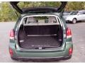 2010 Cypress Green Pearl Subaru Outback 2.5i Wagon  photo #9