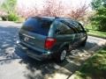2007 Magnesium Pearl Chrysler Town & Country LX  photo #7